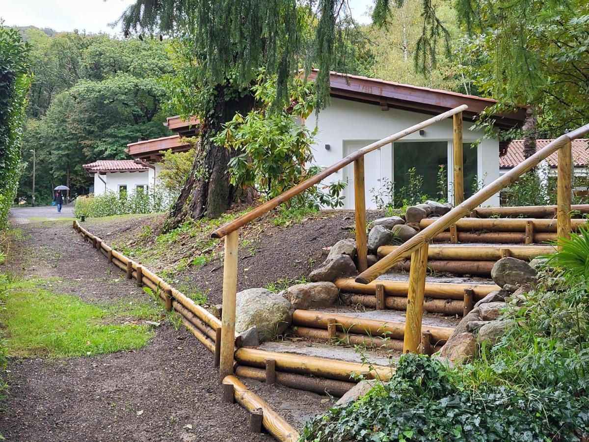 Le Betulle B&B Origlio Exteriér fotografie